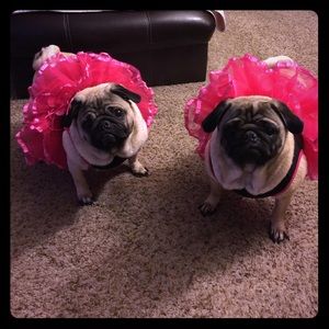 Merry Christmas 🎁